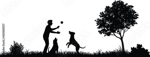 Silhouette of man playing fetch with two dogs in nature, outdoor park scene with tree, grass, ball, joyful activity