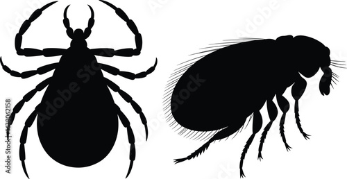 Silhouette of tick and flea insects, detailed pest vector illustration, parasite pests isolated on white background, veterinary and biology concept