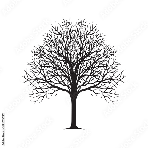 Black silhouette of a bare, leafless tree. Winter tree icon with naked branches, a symbol of nature, autumn, and dormancy, isolated on a white background.
