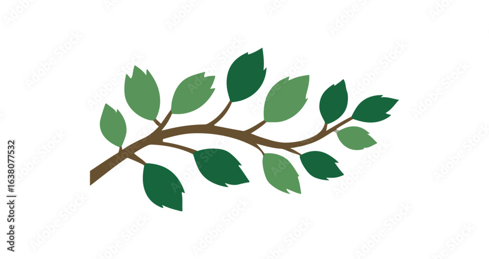 Fototapeta premium Simple branch with leaves illustration