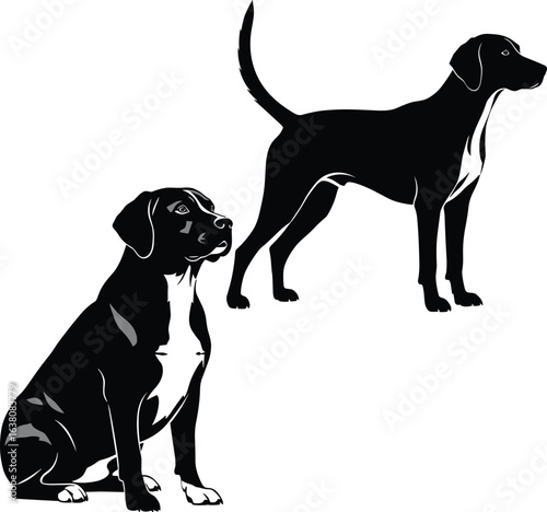 Black and white silhouette dogs, sitting and standing poses, domestic pets, hunting dog breed illustration, canine artwork, vector animal design, graphic style