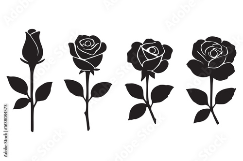A monochrome set of four black rose silhouettes showing the stages of blooming from bud to a fully open flower, isolated vector graphic.