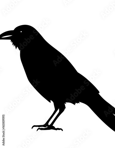 Simple black crow silhouette icon design