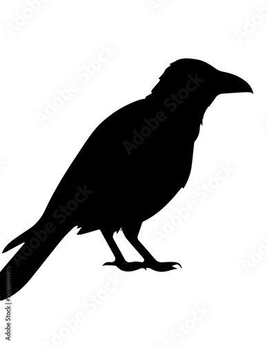 Simple black crow silhouette icon for lucid origin