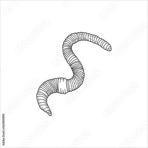 worm sketch drawing artwork handmade illustration