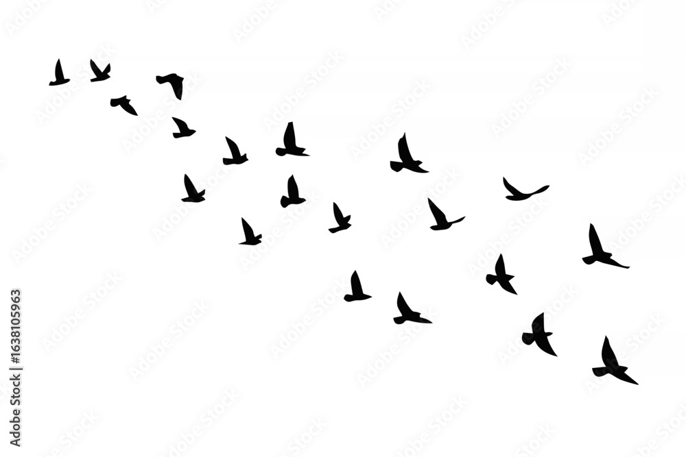 Fototapeta premium Flying birds silhouettes on i...