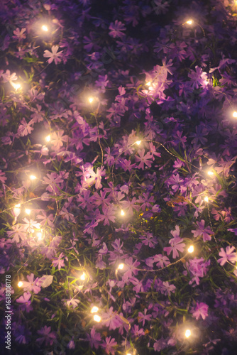 Vibrant Purple Flowers Adorned with Twinkling Fairy Lights at Night
