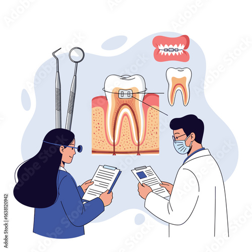 Dental professionals examining tooth anatomy and treatment options for oral health