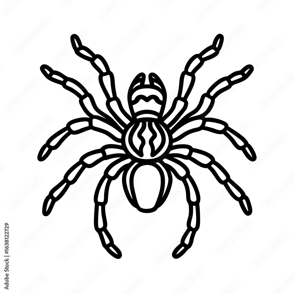 Obraz premium tarantula line art vector illustration on white