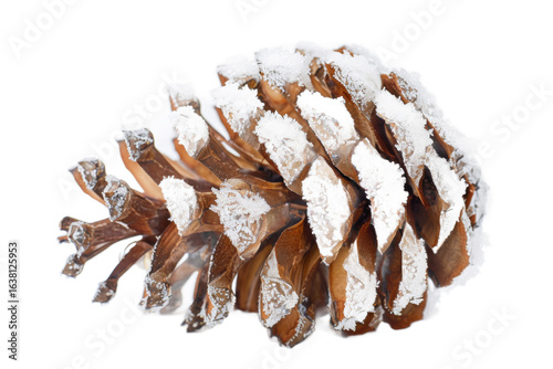 A close-up view of a snow-covered pine cone showcasing intricate details of its scales, set against a white background, ideal for seasonal decor or nature-themed projects