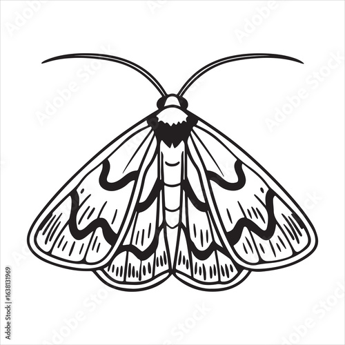 A Serene Portrait of a Moth with Camouflaged Wings, Blending Perfectly with its Natural Environment in a Peaceful Garden