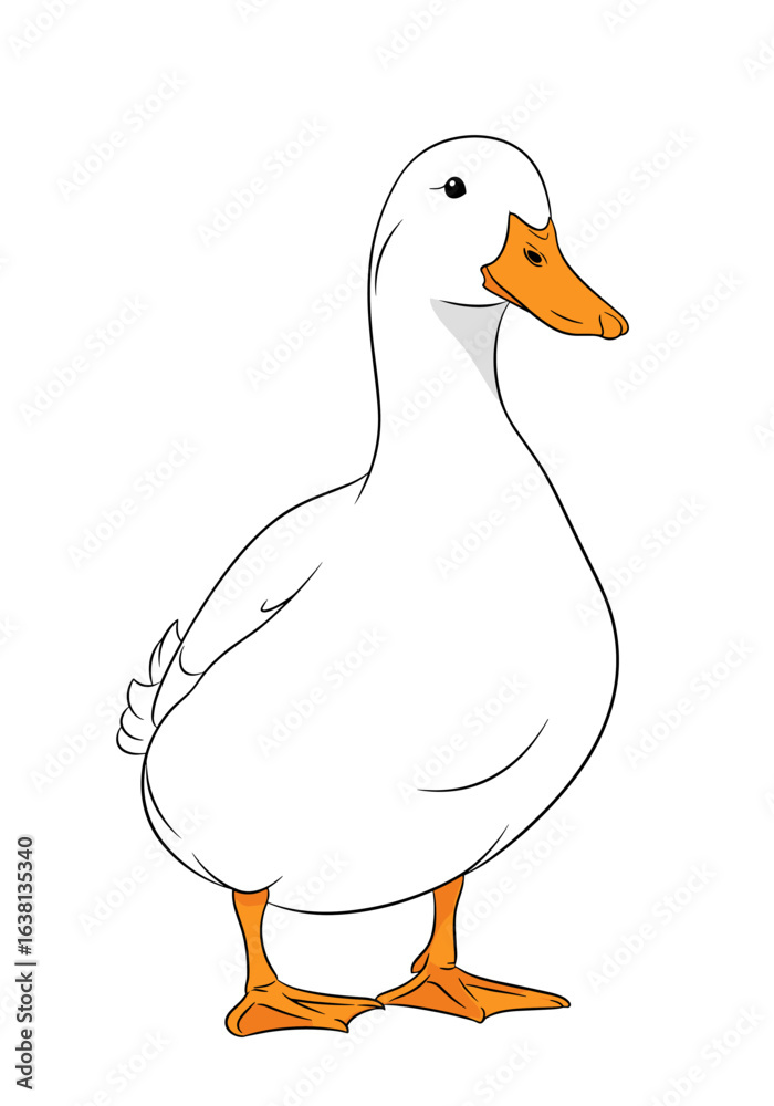 Obraz premium A whimsical white duck stands proudly with its orange beak and feet