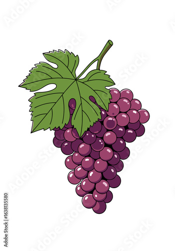 Vibrant red grapes hanging on vine with green leaf fresh fruit healthy eating