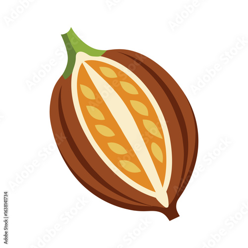 Cross-Section of Cocoa Pod Revealing Beans Vector Illustration on White Background