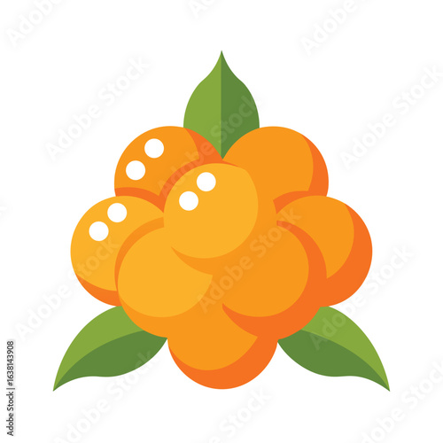 Fresh Cloudberry Cluster with Leaves Vector Illustration on White Background