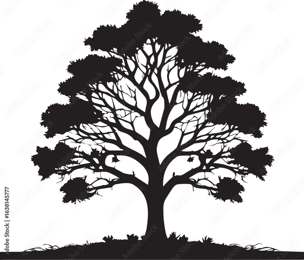 Fototapeta premium tree silhouette Vector | Minimalist & Trendy tree Silhouette Design | Unique & Stylish tree Artwork for Vector design 