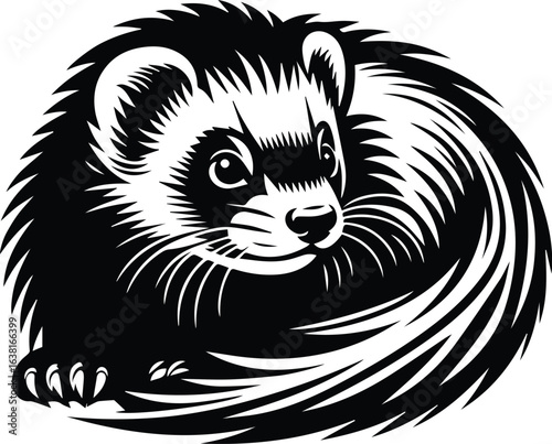Stylized Black and White Ferret Illustration