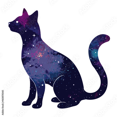 black cat on a white background