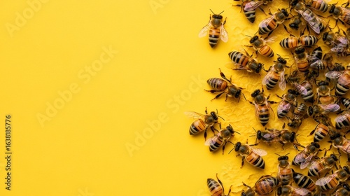 Close-Up View of Honey Bees on Bright Yellow Background