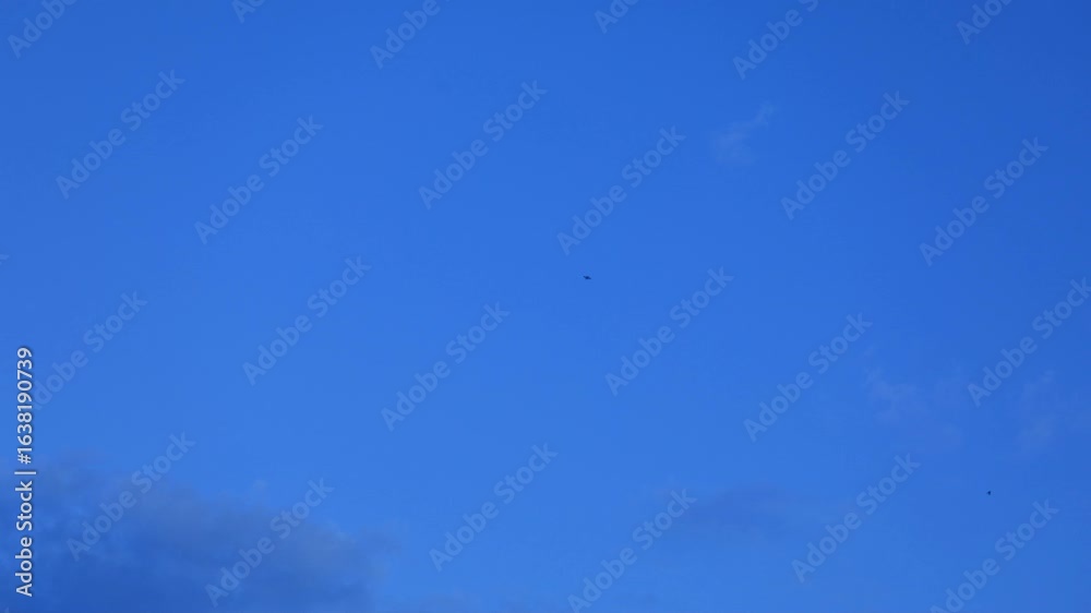 clouds and blue sky in Summer timelapse clouds and blue sky in Summer timelapse