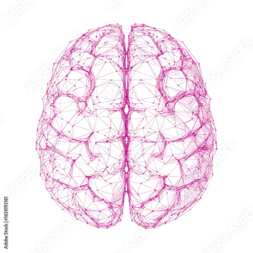 Abstract Pink Wireframe Human Brain Illustration