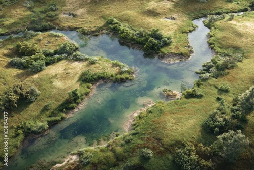 Aerial view of a winding river flowing through a grassy landscape