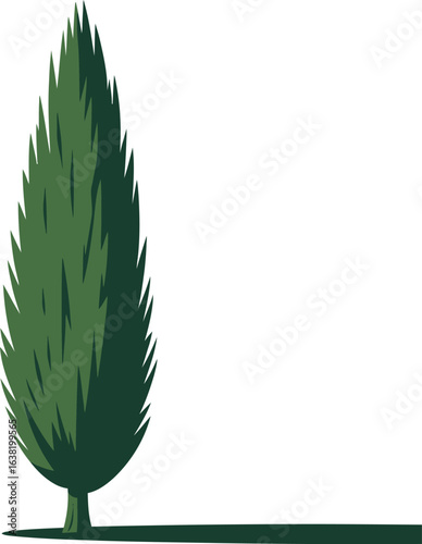 Green conical evergreen tree on a white background conifer