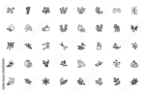 Herbs and spices icon set. Minimalist vector illustration. Includes pepper, chives, coriander, garlic, saffron, rosemary, mint and more. Editable stroke collection.