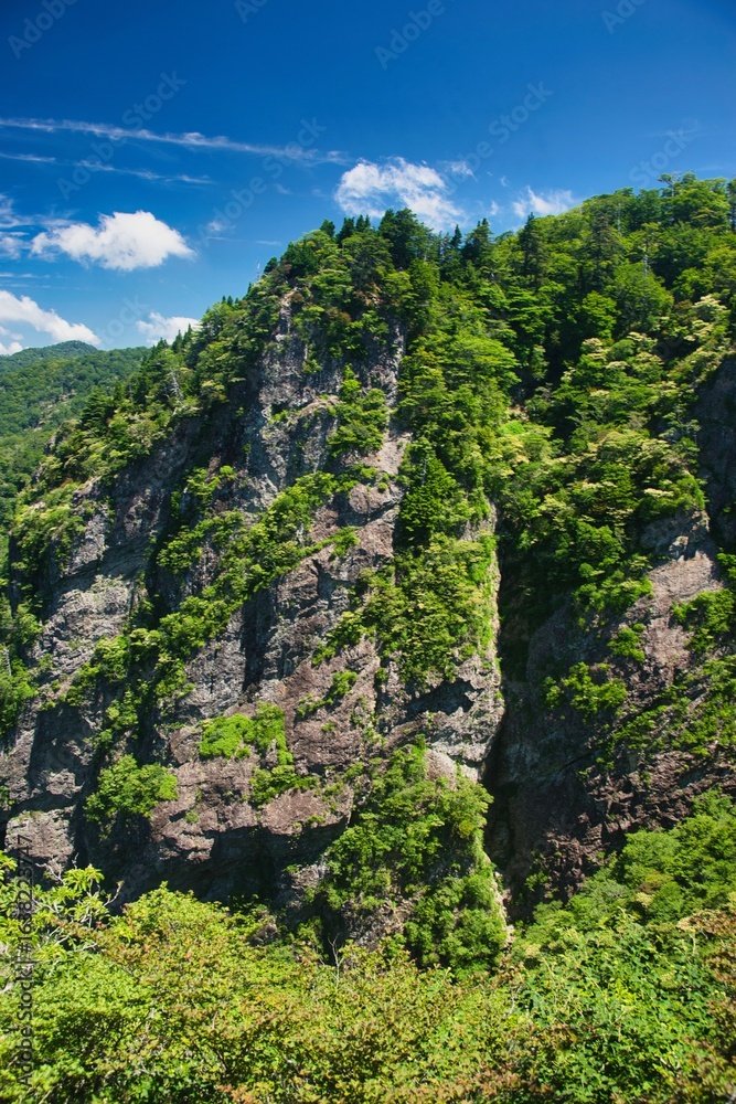 Fototapeta premium 大台ヶ原の風景