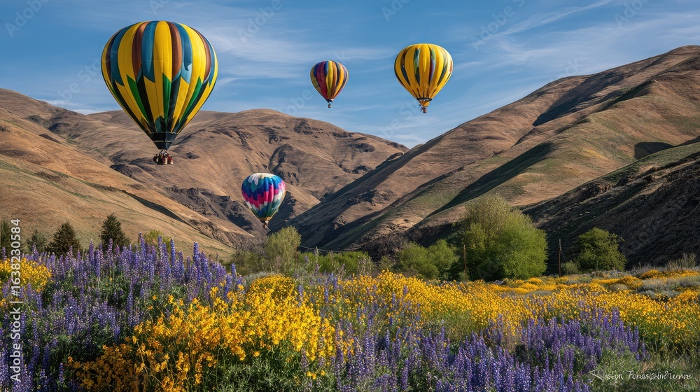 Fototapeta premium Dynamic landscape shot of solar balloons casting shadows on flowers and hill slopes