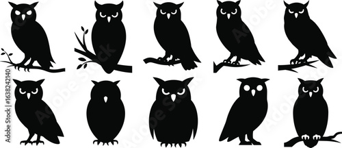 Owl silhouette set, black owl icons, perched owl graphics, bird vector illustration, wildlife clipart, stylized owl shapes, nocturnal animal design, educational bird art.
