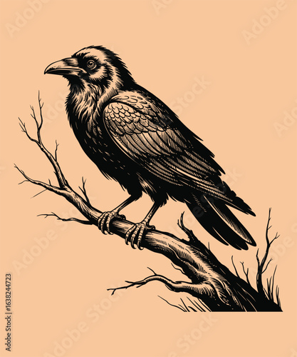 Crow