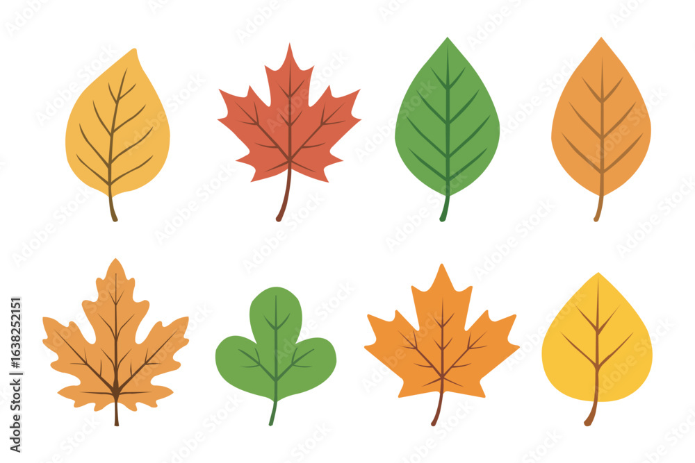 Fototapeta premium Autumn and green leaves vector icons. leaf vector set.