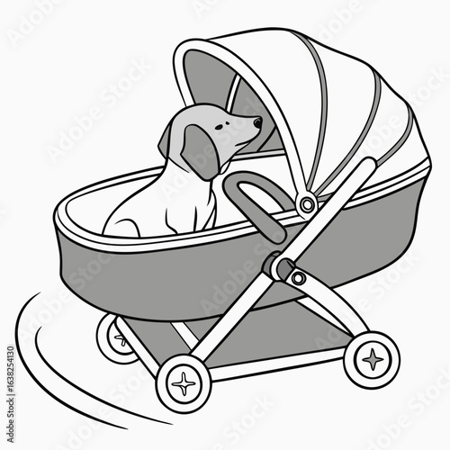Dachshund dog in stroller animal