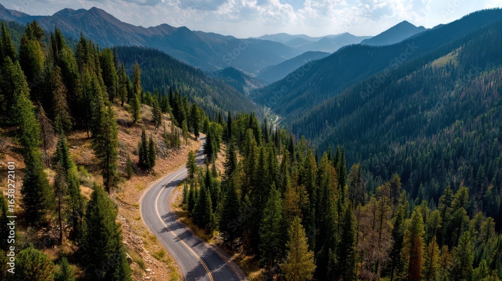 Fototapeta premium Scenic Winding Road Through Pine Trees in Mountain Landscape