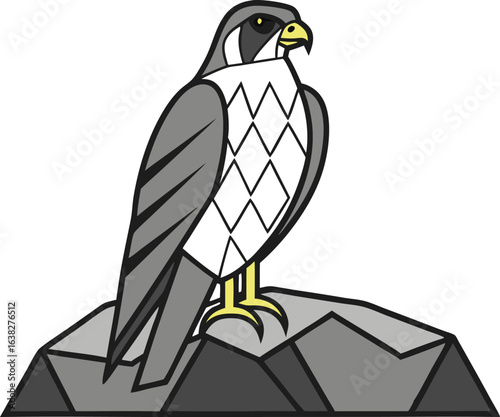 Illustration of a bird of prey falcon standing on a rock, vector