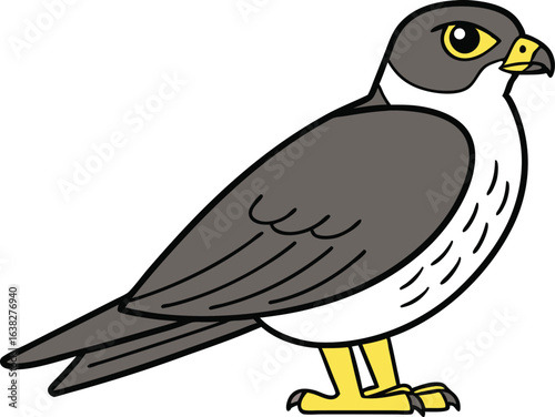 Stylized peregrine falcon vector illustration with grey white and yellow coloring
