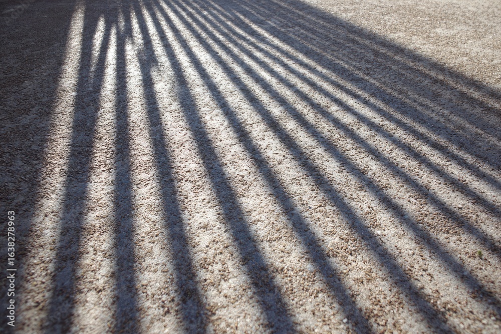 Naklejka premium Parallel shadows on a light-colored ground