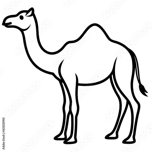camel in the desert
