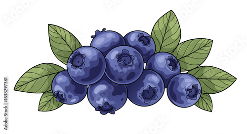 A vibrant illustration of a cluster of ripe blueberries with fresh green leaves against a stark black background