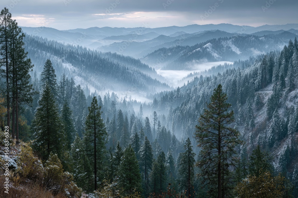 Fototapeta premium Misty mountain range with evergreen forests