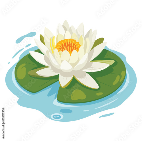 Blooming pink and white water lilies with reflections float on a tranquil pond, a beautiful summer scene of aquatic flora