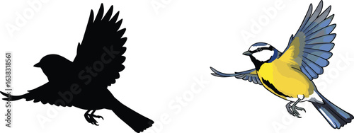 Blue tit bird in flight, colorful illustration, black silhouette contrast, vibrant feathers, wildlife art, nature concept, avian motion, isolated background