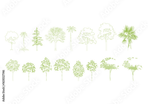 TREES FRONT VIEW