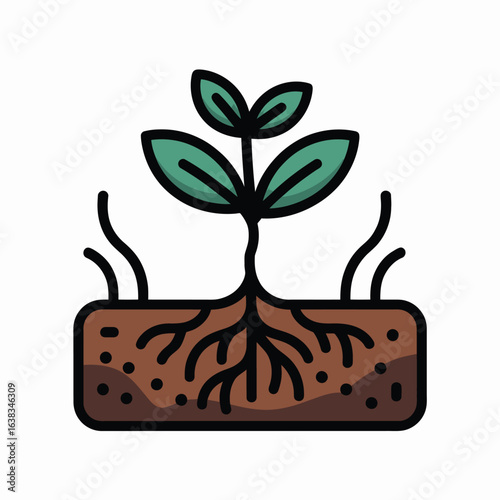 Healthy green seedling growing from fertile soil highlighting the plant’s root system

