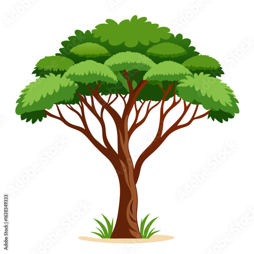 green tree isolated on white