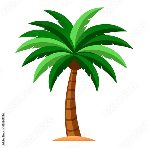tropical palm tree