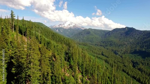 Scenic view of a mountain range with snowcapped peaks and a green forest