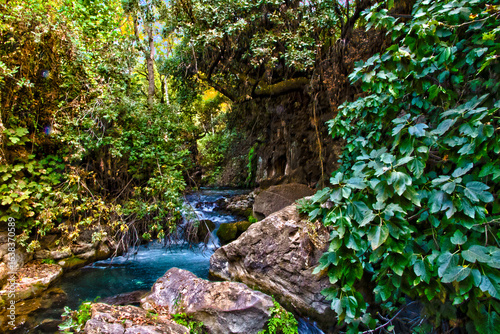 Mountain stream in Banias Nature Reserve, northern Israel