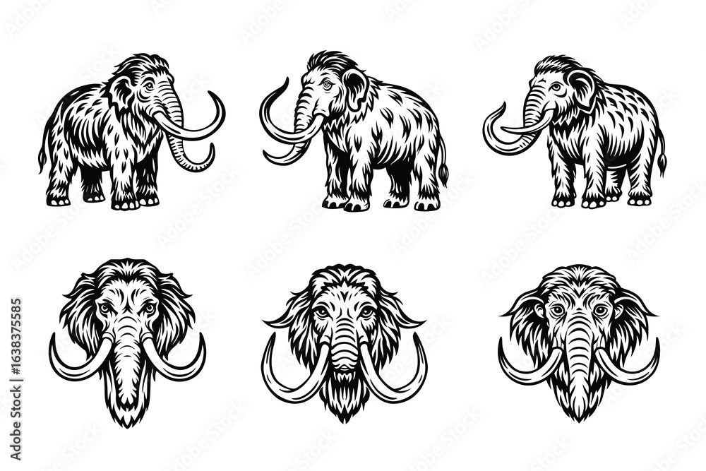 Obraz premium Beautiful and playful Mammoth with white background